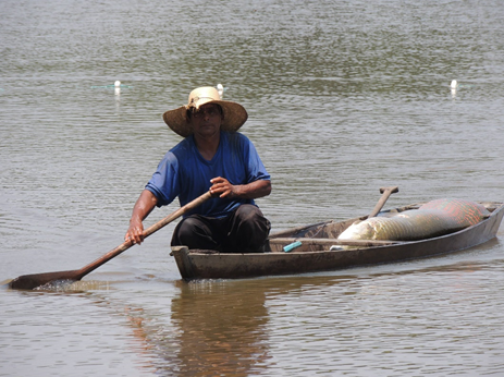 Fonte: Colônia de pescadores de Guajará Mirim